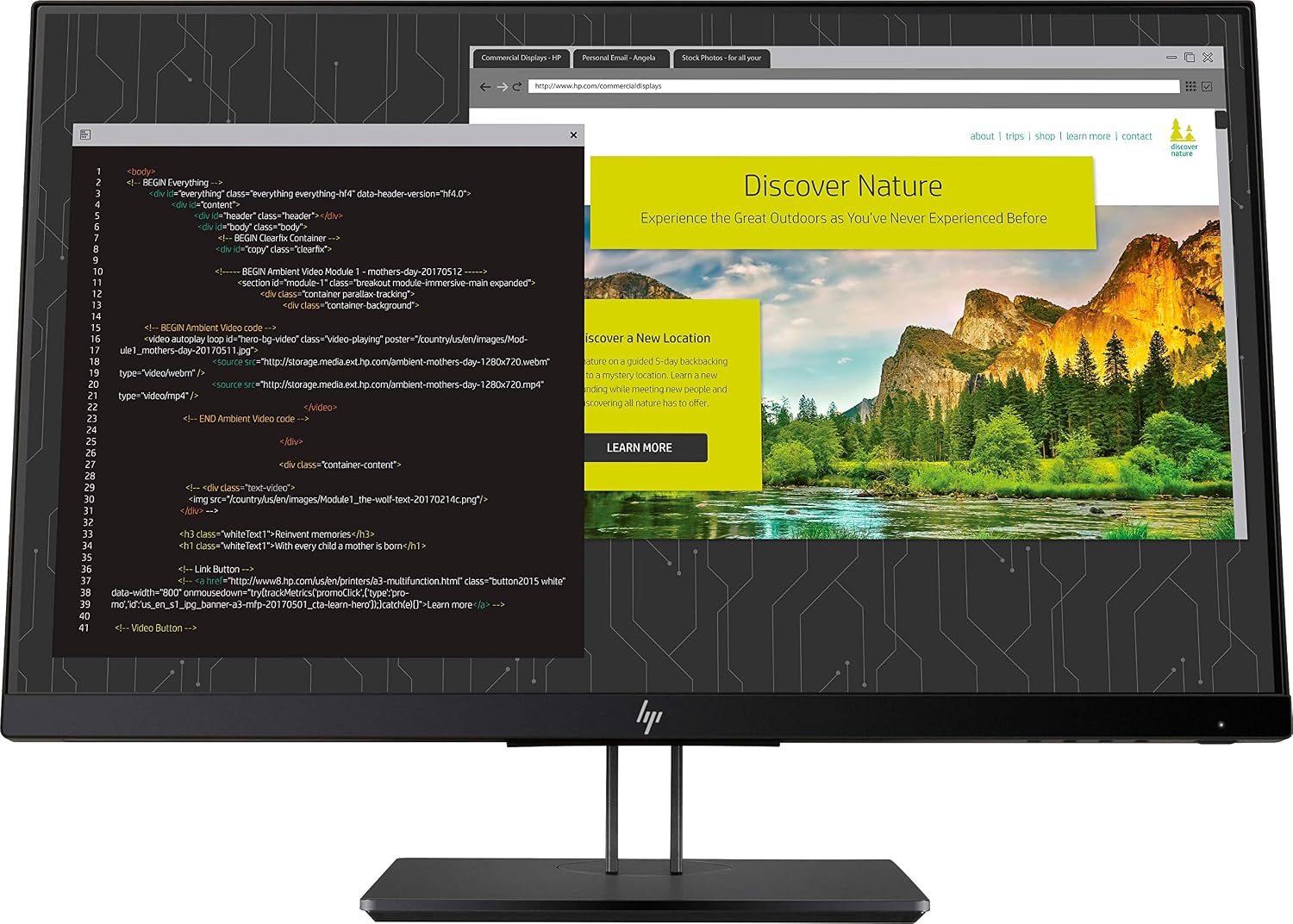 HP Z24nf G2 - Monitor Profesional de 23.8" (Altura y rotación Ajustable, FHD, 1920 x 1080, 5 ms, 1 x HDMI, 1 x VGA, 1 x DisplayPort 1.2, 16:9) Negro