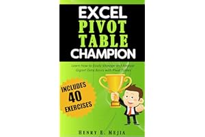 Pivot Tables Champion: Learn to create Excel Pivot Tables like a Pro to Summarize and Manage Giant Databases in Excel (Excel 