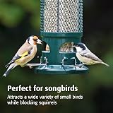 Jacobi Jayne Squirrel Buster Bird Feeder – Squirrel Proof Seed Feeder view 5