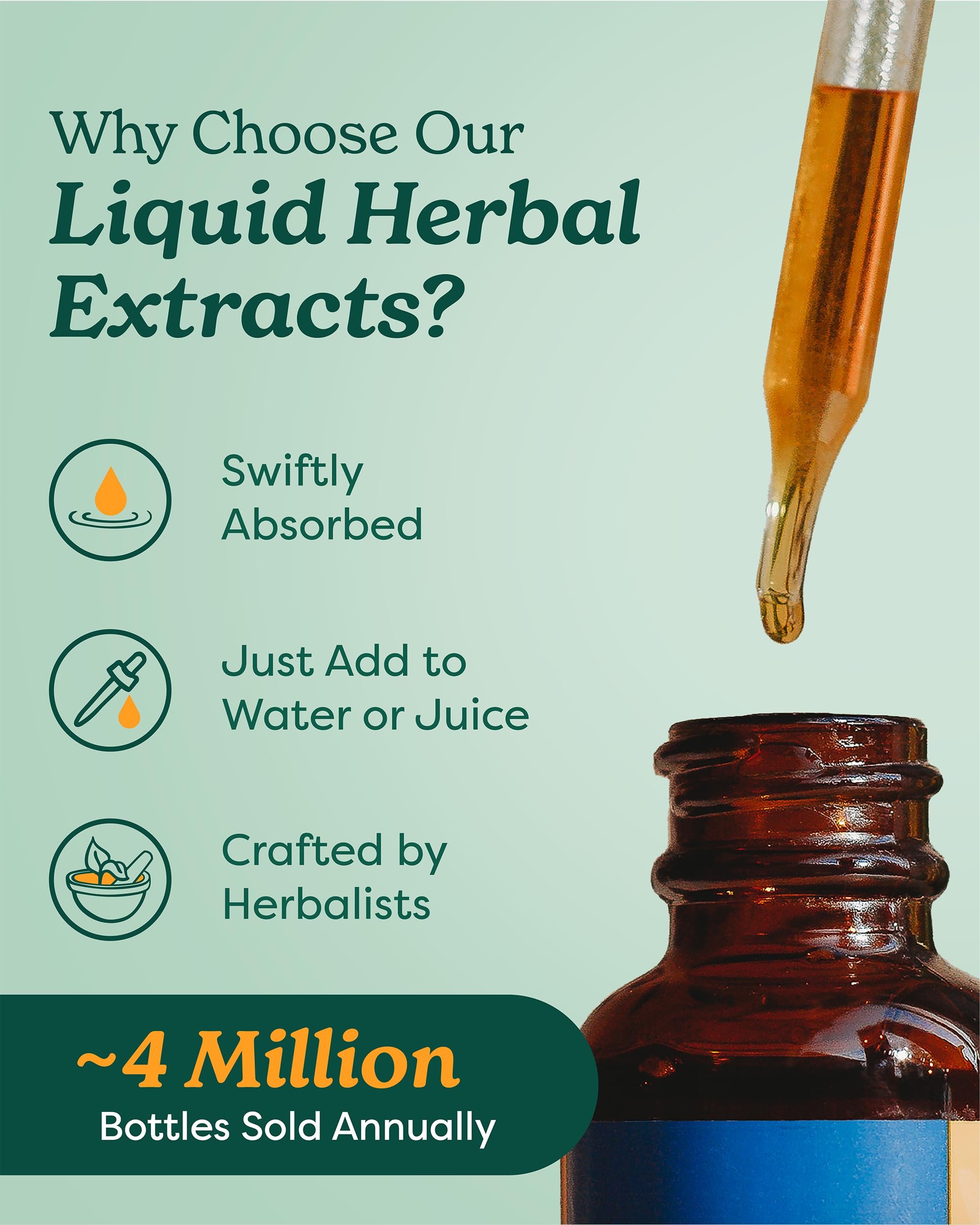 Herb Pharm Certified Organic Clove Liquid Extract - 1 Ounce