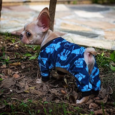 waffle the dog pyjamas