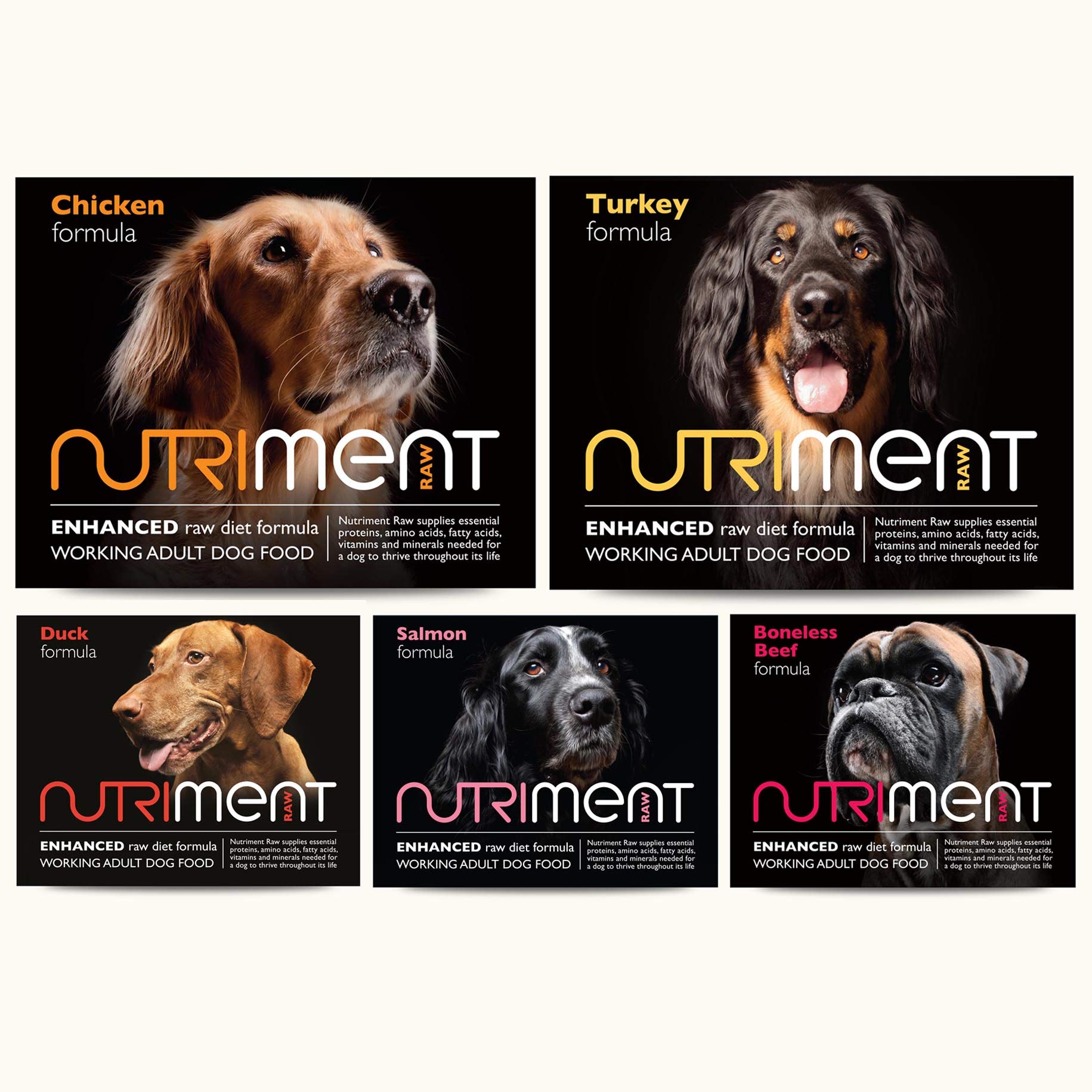 black belgian malinois price