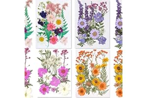 D-CHUANGX Pressed Flowers, Dried Pressed Flower for Resin Mold Real Pressed Flowers Dry Leaves Bulk Natural Herbs, Herbs kit for Scrapbooking Supplies Card Making Supplies Resin Jewelry Soap and Candle Making