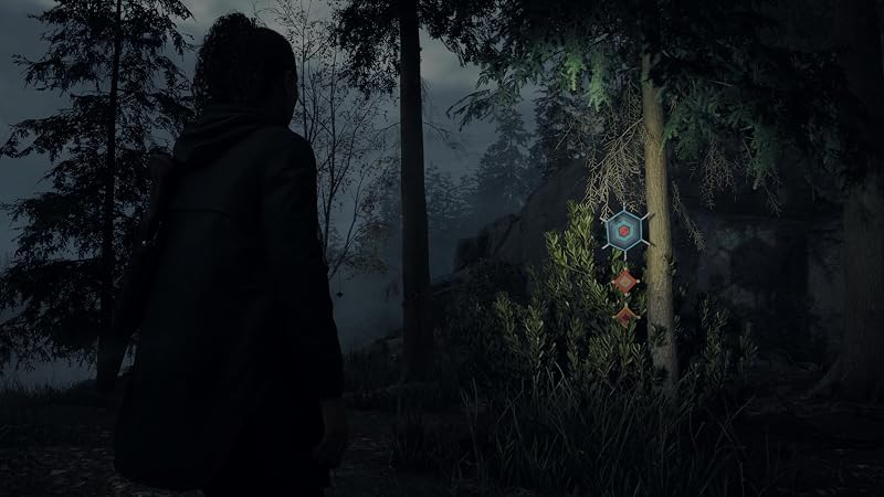 Alan Wake 2 Deluxe Edition - PS5 — foto 7 de 7