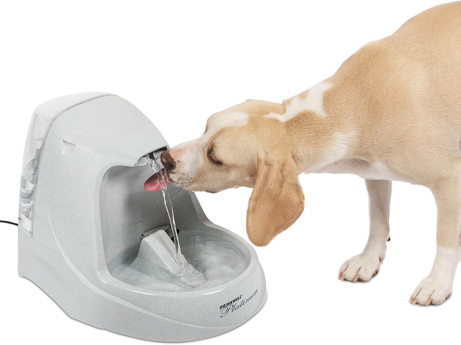 PetSafe Drinkwell Platinum Dog and Cat Water Fountain, Automatic Drinking Fountain for Pets, 168 Oz. : Pet Self Waterers : Pet Supplies