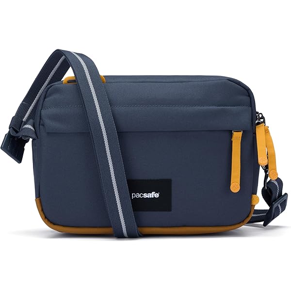 Amazon.com | Pacsafe Intasafe X Anti Theft 13-inch Laptop Slim