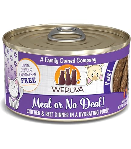 anit spill cat food bowl Vivaglory Dog Bowls Stainless Steel Water and Food Puppy Cat Bowls wit   VIVAGLORY