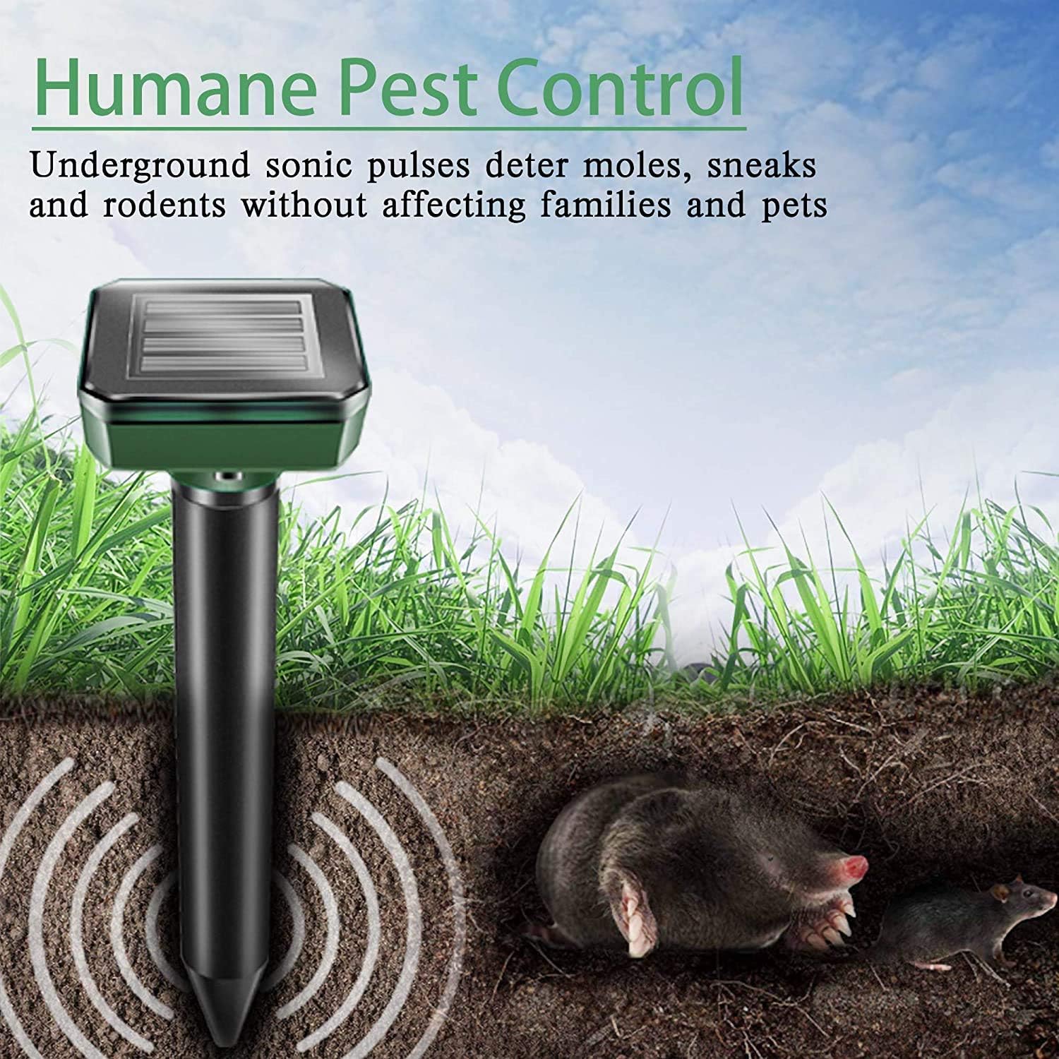 Groundhog and Mole Repellent Stakes – Solar Ultrasonic Pest Repeller for Outdoor Use – Pet Friendly Rodent Control Chases Away Snakes, Voles and Chipmunks with 400Hz Vibration (4 Pack): Health & Personal Care