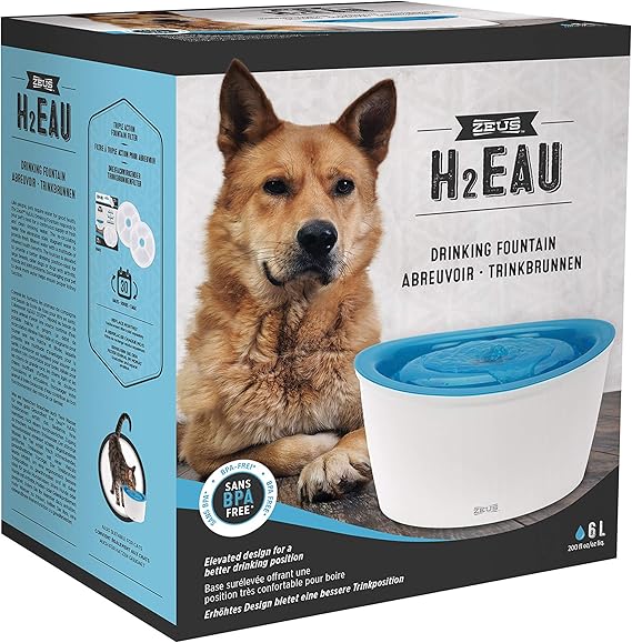 dog it design water fountain