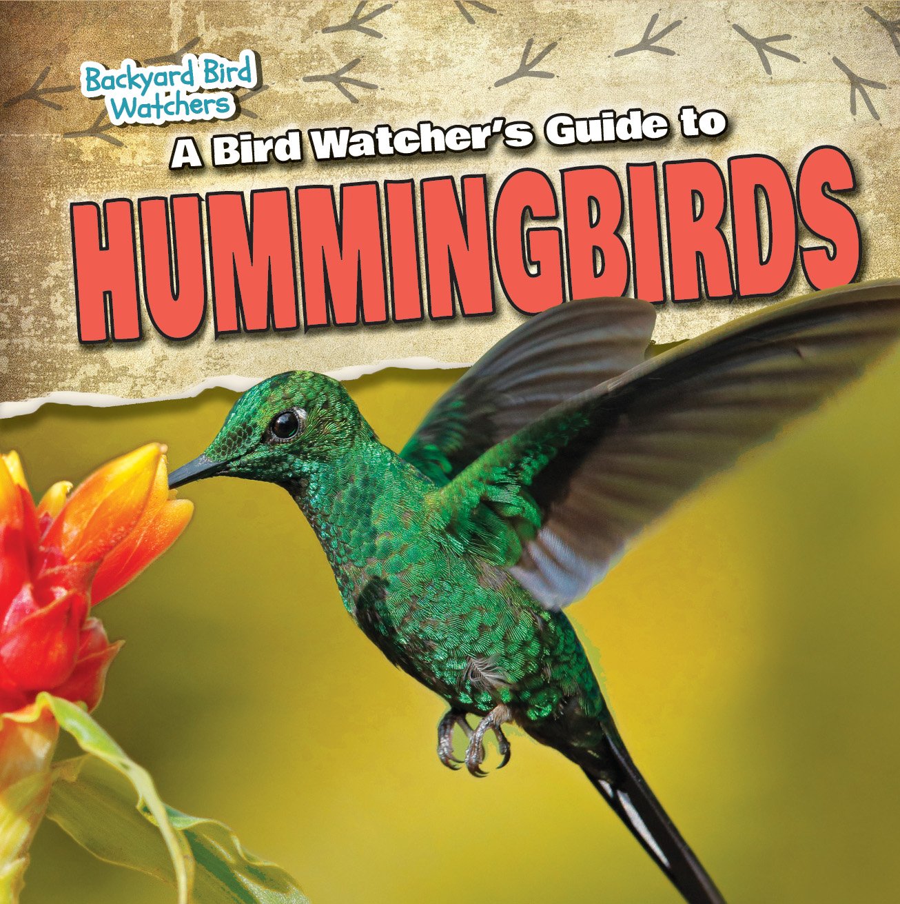 A Bird Watcher S Guide To Hummingbirds Backyard Bird Watchers