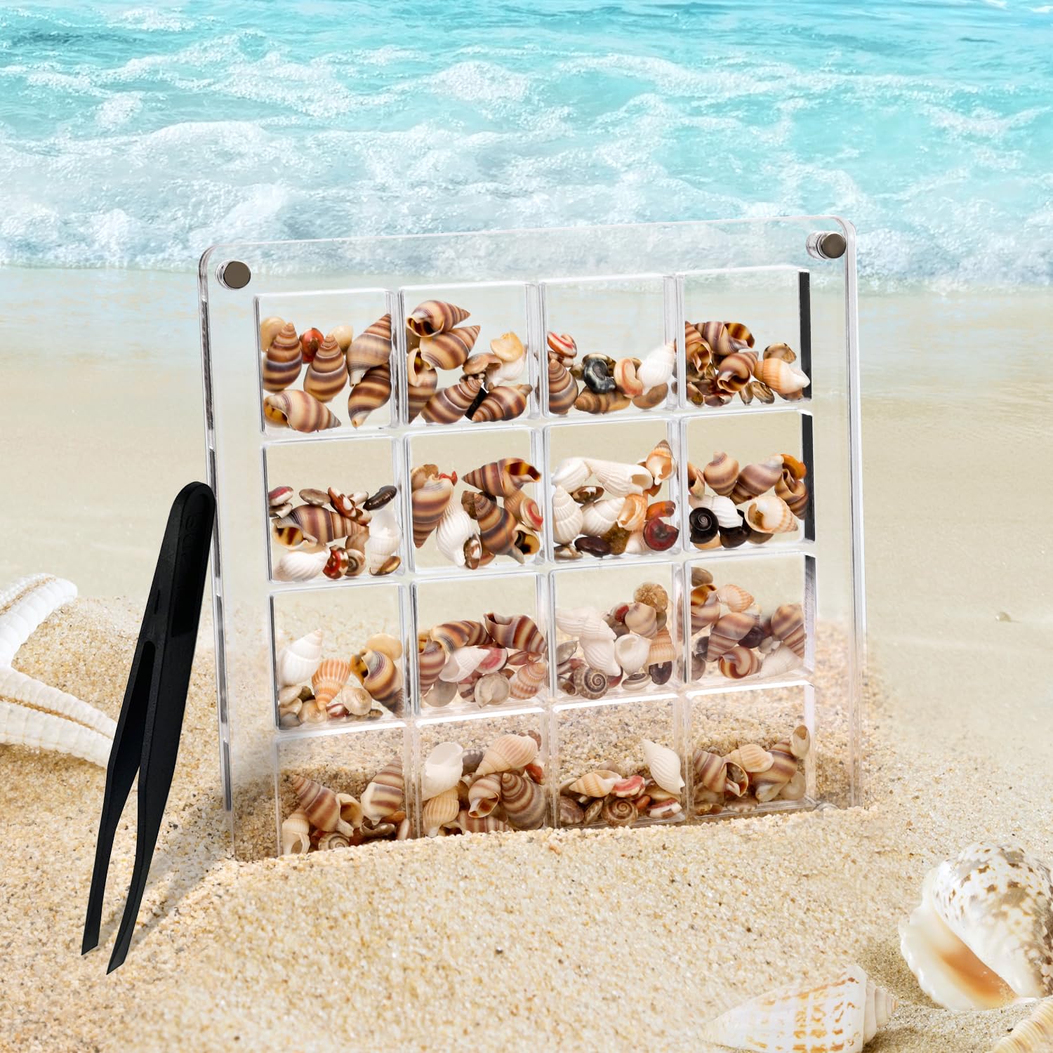 Acrylic Magnetic Seashell Storage Box with Tweezers - 16 Grid Clear Square Organizer Display Frame for Bead & Jewelry Crafts