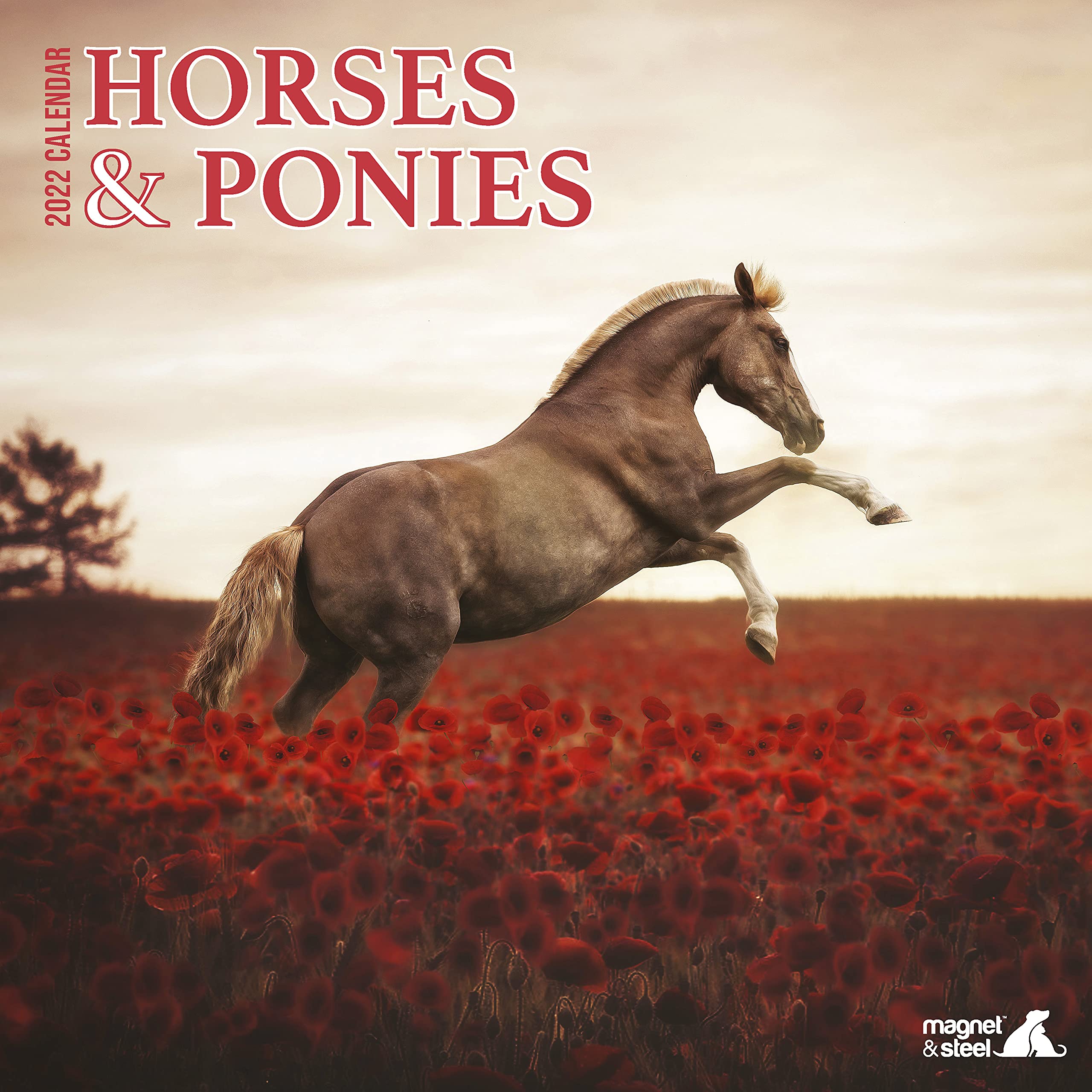 Magnet & Steel Horses & Ponies 2022 Calendar