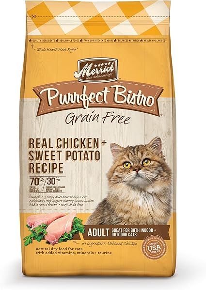 cat dry food recommendations