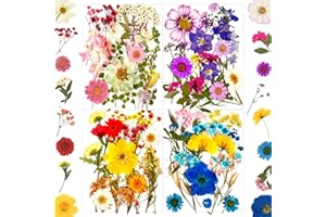 LUCISKY 85 Pcs Dried Pressed Flowers for Resin Molds, Real Natural Flowers Leaves for DIY Crafts, Nails, Jewelry, Soap and Candle Making