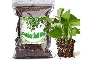 Doter Organic Pothos Soil Mix 1qt, Indoor Plants Potting Mix for All Potted Pothos, Grow Healthy houseplants Indoors