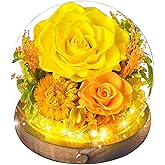 Rose in Glass Dome Flowers for Delivery Prime Preserved Roses Forever Flowers Rose Globe Ball Flower Globe Gift for Women Mom Grandma Wife Friend Birthday Mothers Day Yellow