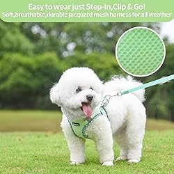 AIITLE No Pull Dog Vest Harness, All Weather