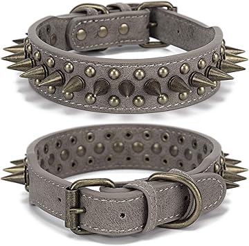thick studded dog collar