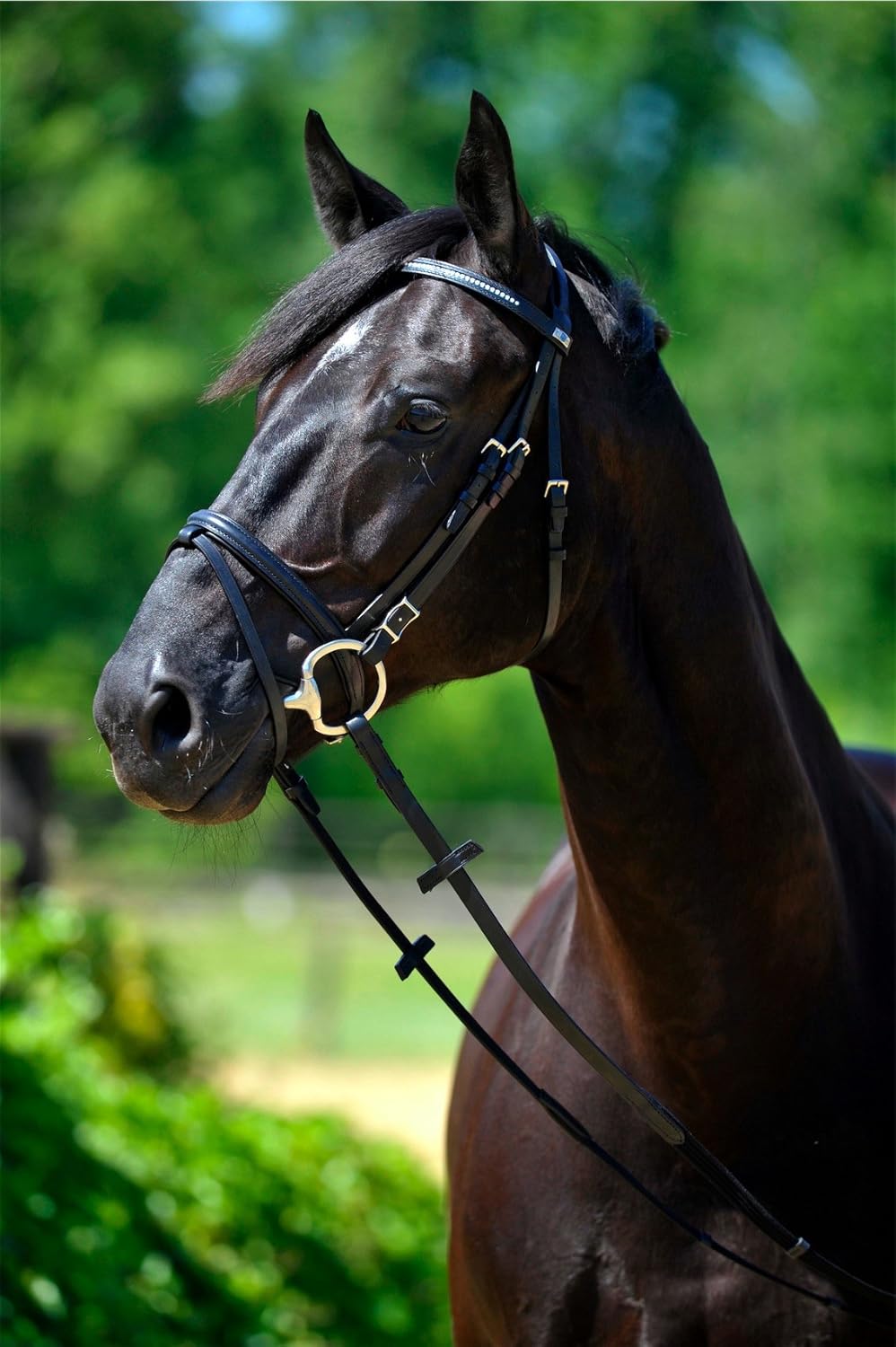 Stubben Snaffle Bridle 1200 Tyrone Amazon Co Uk Sports Outdoors
