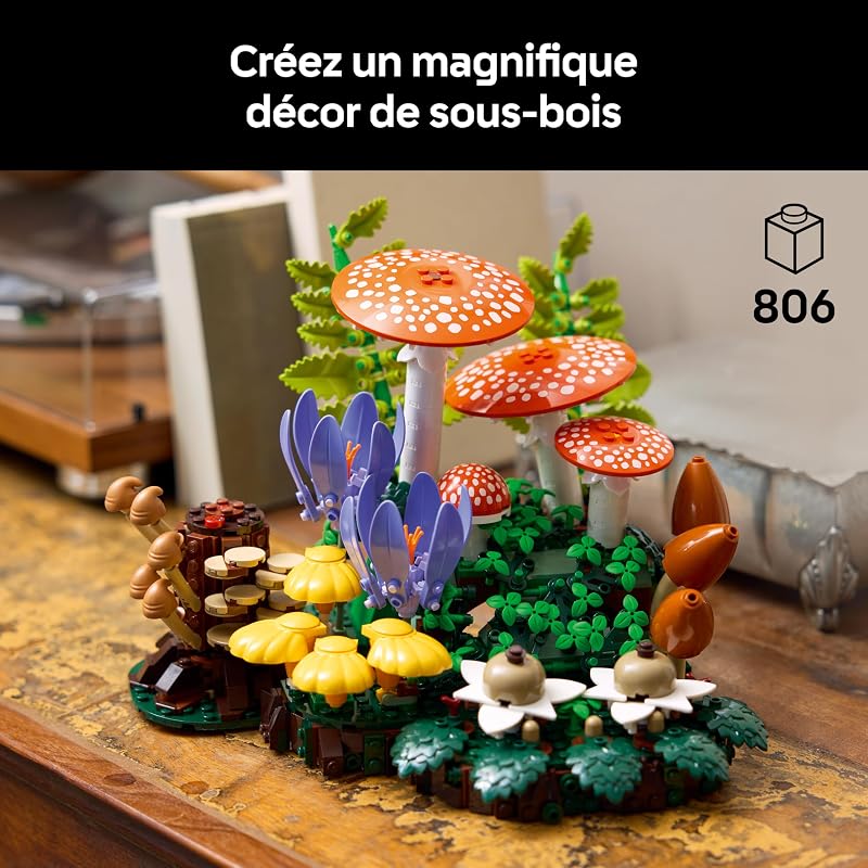 Botanicals Les Champignons des Bois 11505