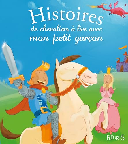 Download Histoires de chevaliers à lire avec mon petit garçon PDF