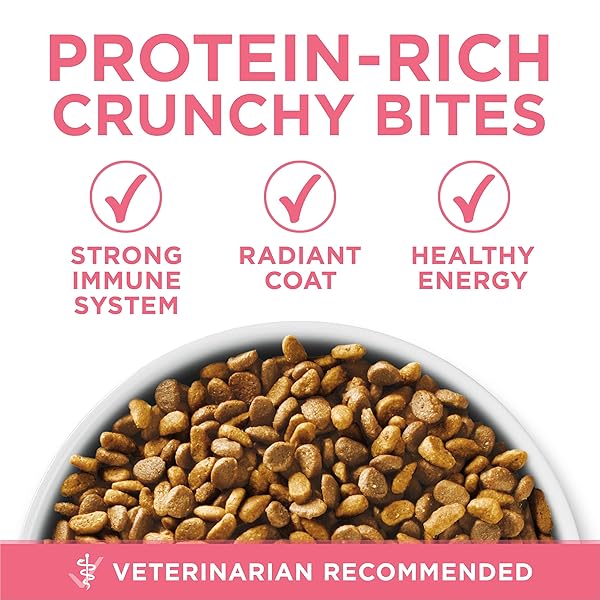 PURINA ONE HIGH PROTEIN, NATURAL DRY KITTEN FOOD, +PLUS HEALTHY KITTEN FORMULA – 7 LB. BAG