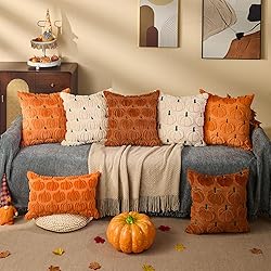DFXSZ Fall Pillow Covers 18x18 Set of 2 Fall