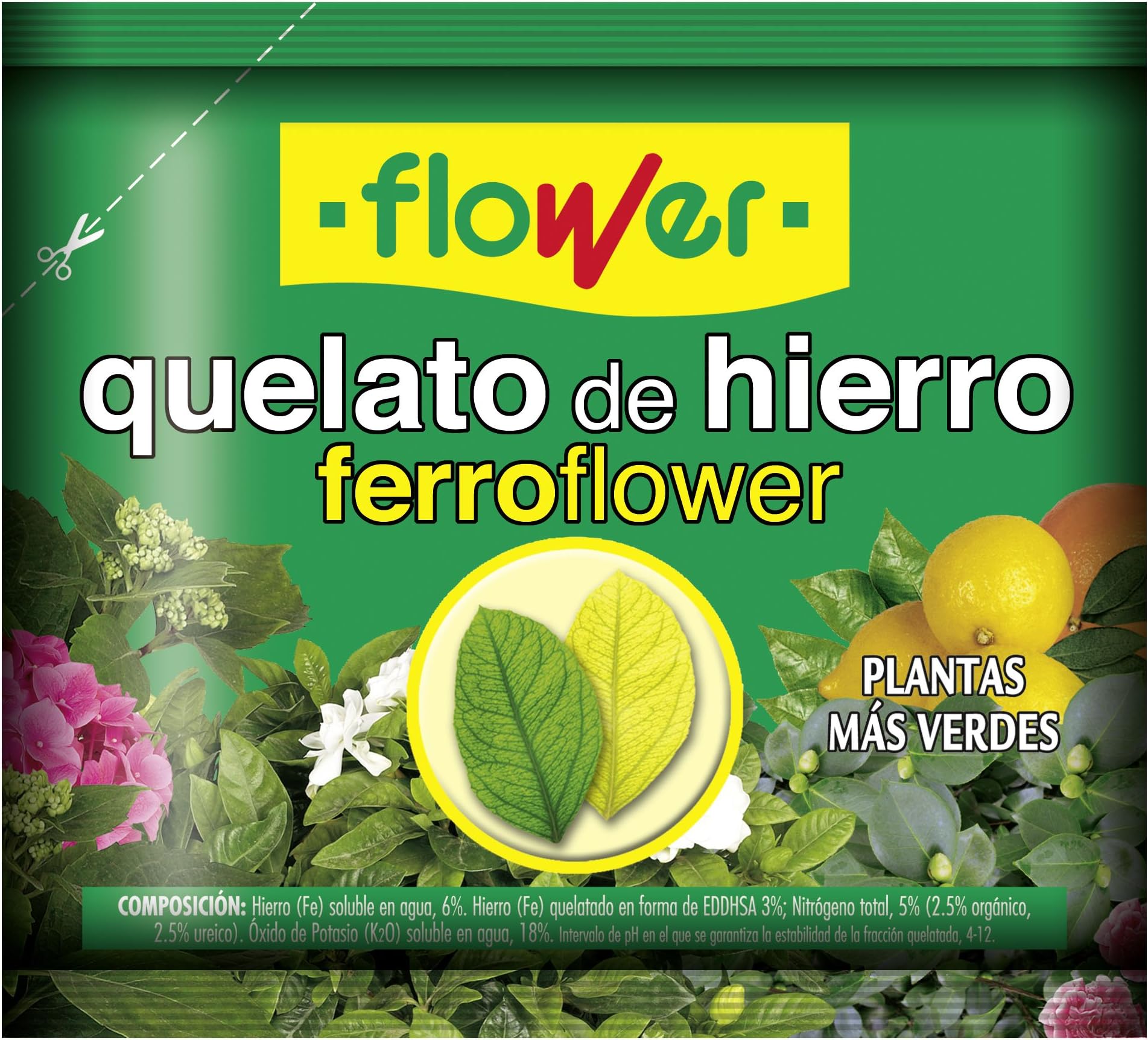 Flower 15506 ferrotrene (quelato Iron), 30 G