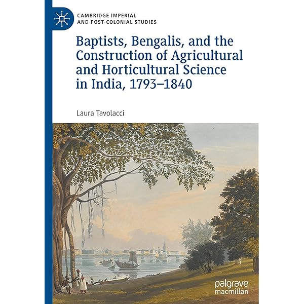 The Archaeology of Japan: From the Earliest Rice Farming