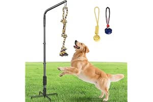 AugFir Tether Tug Outdoor Dog Toy with Strengthen Spring Pole, 3 Kinds Dog Tug of War Toys for Self Play and Interactive in Park, Yard, Lawn Rope, Suitable for Large Medium Small Dogs (Dark)