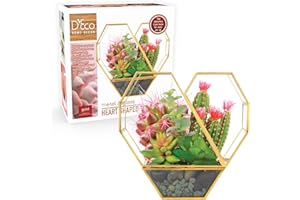 D'Eco Glass Valentine Heart Plant Terrarium (8X 8X 2.5)- Gold Trim Geometric Planter - Succulents, Air Plants, Moss, Fern- Valentines Day Decor- Valentine's Day Gift for Her, Plant Lovers, Girlfriend