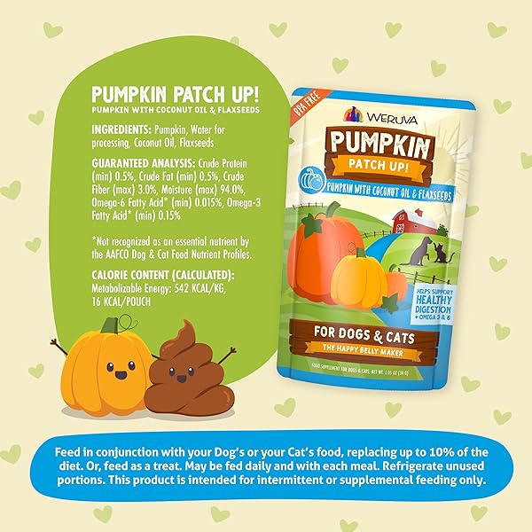 WERUVA PUMPKIN PATCH UP! PUMPKIN POUCHES FOR DOGS & CATS