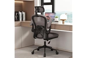 Apusen Ergonomic Office Chairs with Adjustable Lumbar Support,Mesh Desk Chair with Adjustable Arms and Wheels,Computer Desk Chair for Home Office Essentials（Headrests,Black）