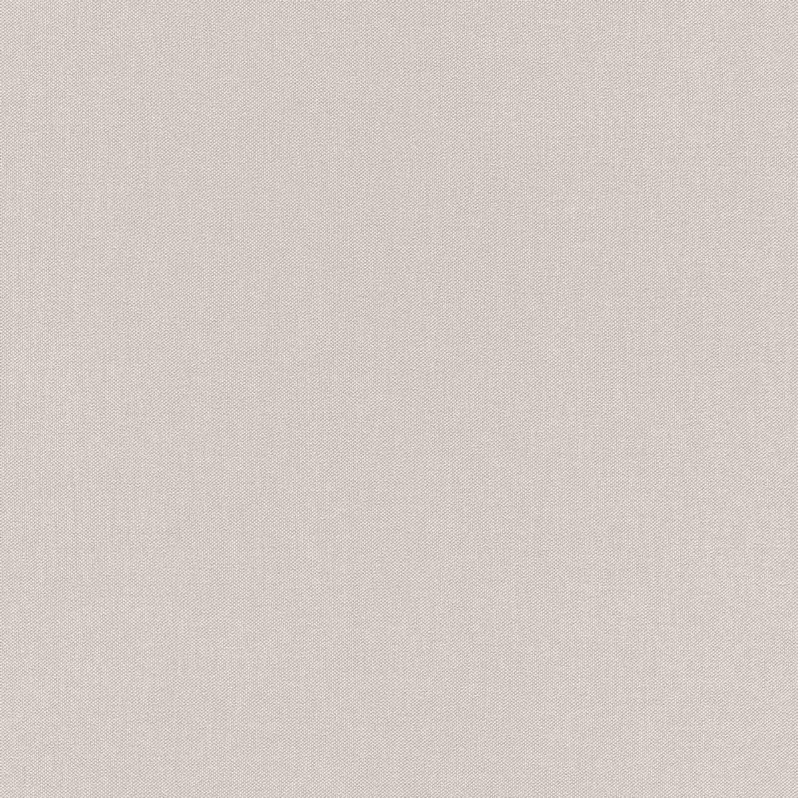 Rasch Tapeten Vliestapete (universell) Grey Silver 10,05 m x 0,53 m Poetry 424072