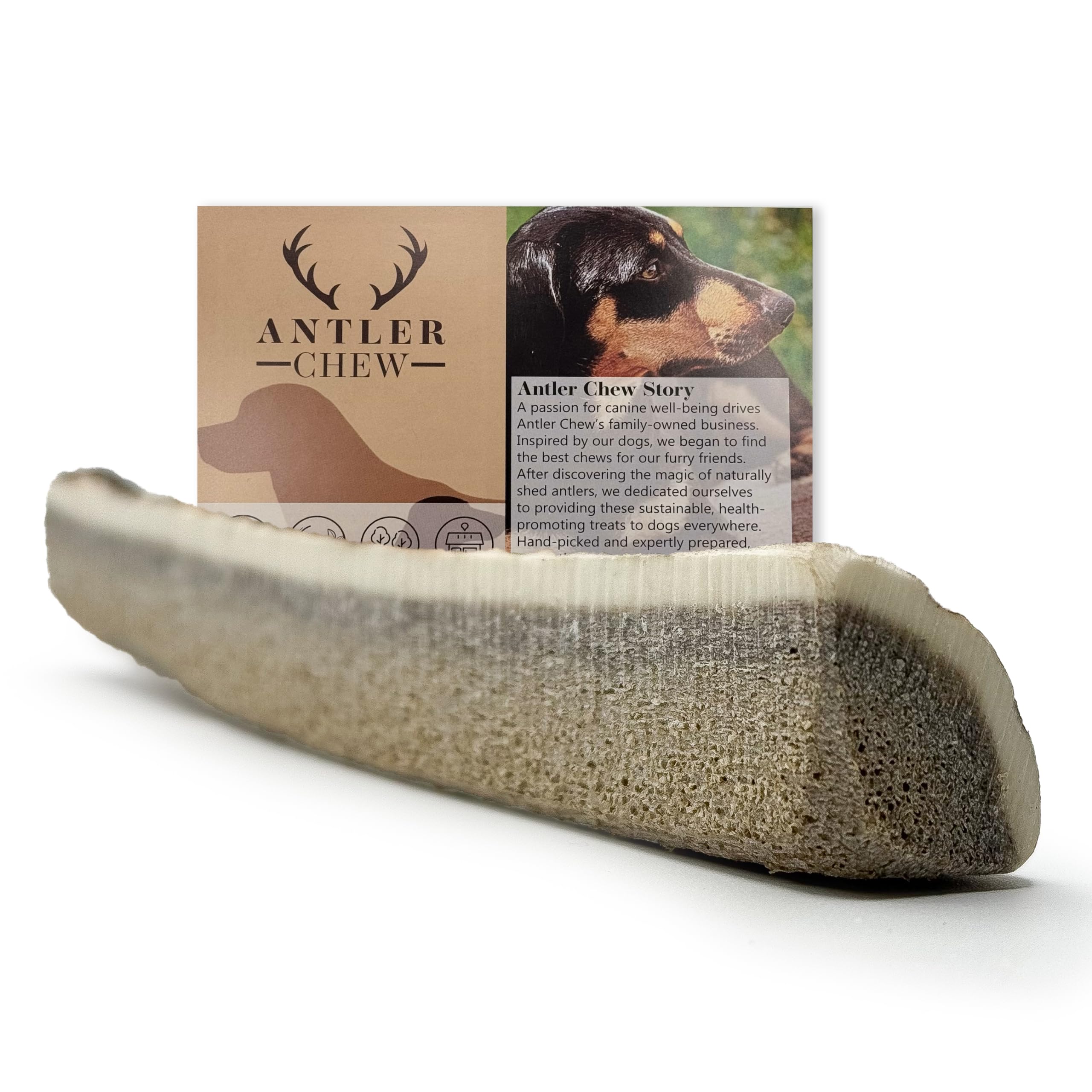 Antler Chew – Large Pizza Cut Deer Antler for Dogs (61–90g, 12cm) | Soft Split Antler with Marrow | Natural Puppy & Small Dog Chew | Grain-Free, Odourless, Dental Health Support
