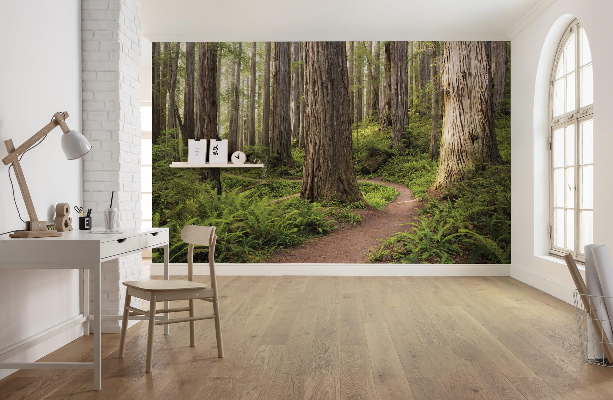 Komar Redwood Trail SHX9-077 Non-Woven Photo Wallpaper XXL Decoration Nature Landscape Bedroom Living Room Office Hallway Size 450 x 280 cm (Width x Height) Multi-Coloured