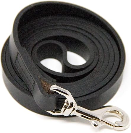 logical leather dog leash