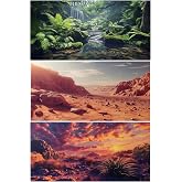 COMSUN 3 Pack Terrarium Background, 36x18 inch Polyester Reptile Background | Cloth Terrarium Background, Gobi Sunshine Cactus Stone &amp; Green Tree Fern Stream Backgrounds, Backgrounds for Reptile Tank