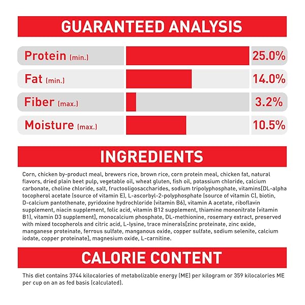 ROYAL CANIN SIZE HEALTH NUTRITION SMALL ADULT DRY DOG FOOD, 4 LB