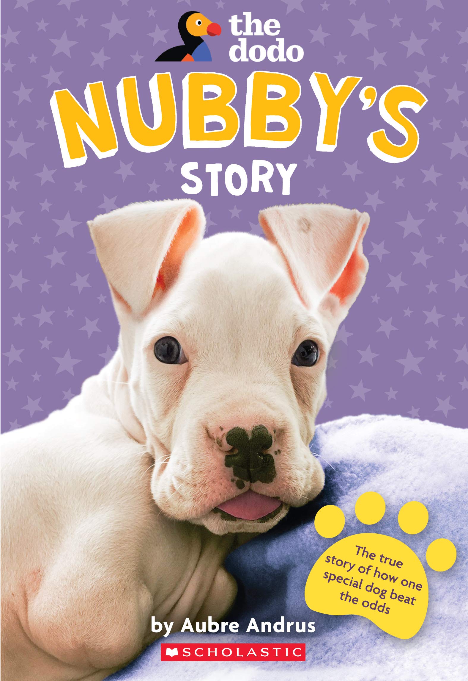 nubby the dog