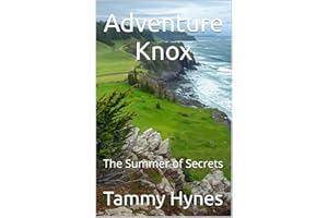 Adventure Knox: The Summer of Secrets