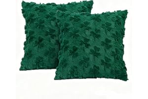 2 Pack St Patricks Day Pillow Covers, 18x18 inch Luck Green Shamrock Cushion Covers, St Patricks Day Decoration Pillow Case f