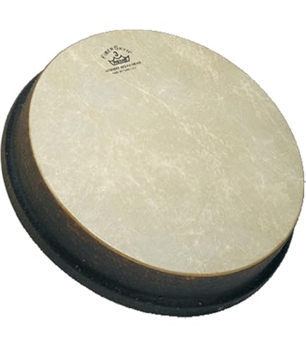 Amazon.com: Remo Drum Set (MO-2514-SD-0099) : Musical Instruments