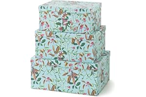 Soul & Lane Winter Berries Cardboard Boxes - Set of 3: Decorative Storage Boxes with Lids, Paper Mache Cardboard Nesting Containers, Christmas Winter Photo Cartons, Stacking Gift Wrap Storage