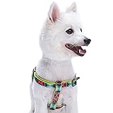 Blueberry Pet 2 Colors Soft & Comfy Step-in