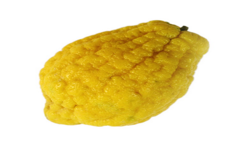 Swatibansalrao - //medicalbooks.filipinodoctors.org