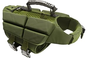 NOAH & PAW Dog Life Jacket, Human Standards Lifejacket Design, Dog Life Vest for Swimming and Boating, 3X Foam Support for Max Floating, Breathable Mesh, Salvavidas para Perros, Size S