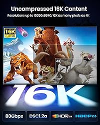 Silkland 80Gbps DisplayPort Cable 2.1 6.6FT [VESA
