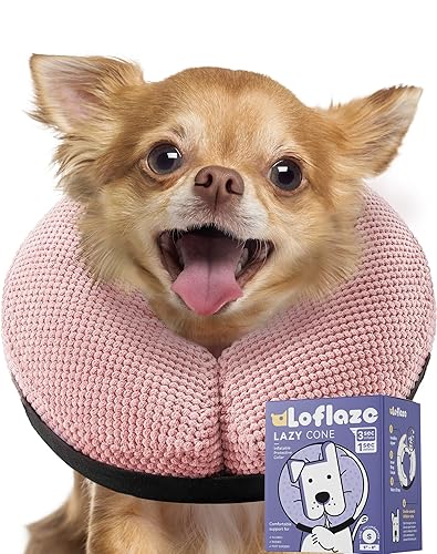 Amazon Dog Funnel Around Neck Cone Of Shame: What It Is And Cone