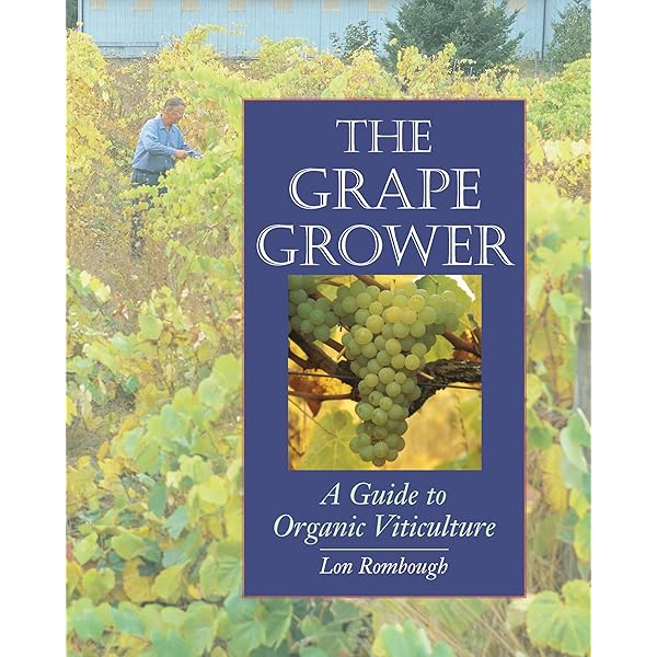 Book of Wine: Bezzant, Norman: 9780890099391: Amazon.com: Books
